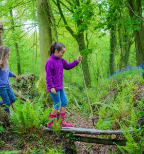 Actividades para niños – Juegos entretenidos para un día en el bosque