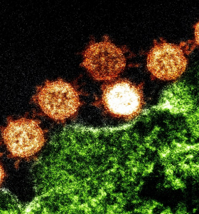 El coronavirus no es la única enfermedad de la que tenemos que preocuparnos ahora