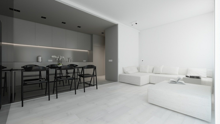 Open Floor Plan Minimalist Living Room