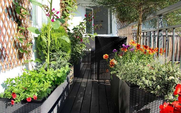balcon-plantas-ideas-opciones