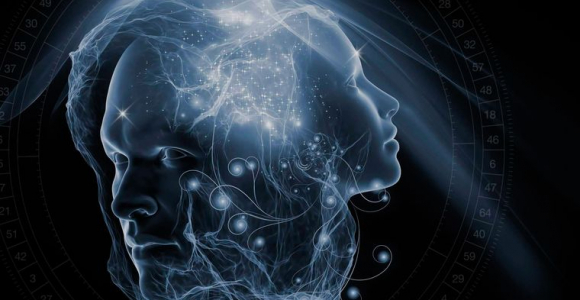 diseño humano relacion universo