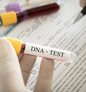 Puede aprender mucho sobre usted a partir de una prueba de ADN