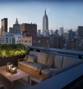 Especias naturales cultivadas en macetas de interior