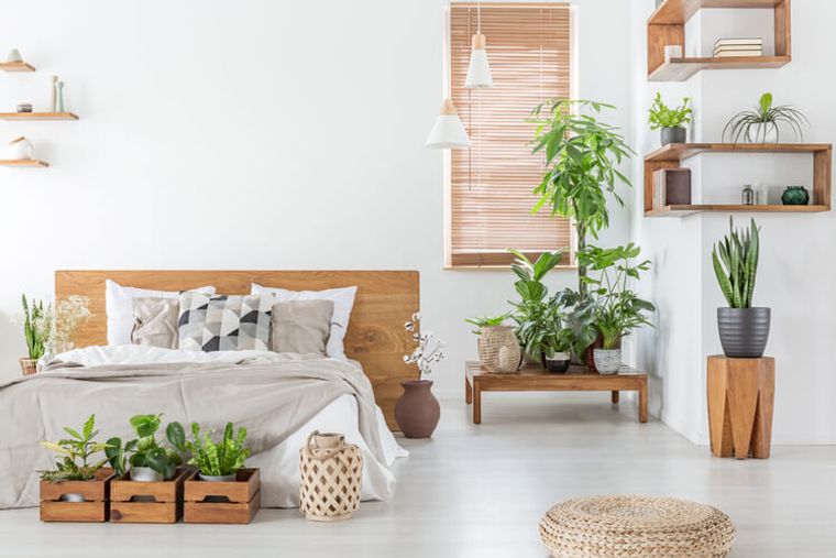 dormitorios modernos con plantas