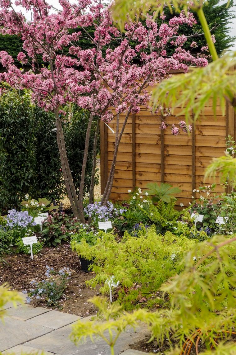 jardin-hierbas-ideas-estilo