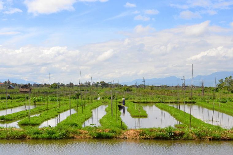 los jardines flotantes agua dulce