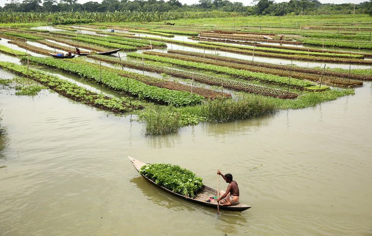 los jardines flotantes bangladesh