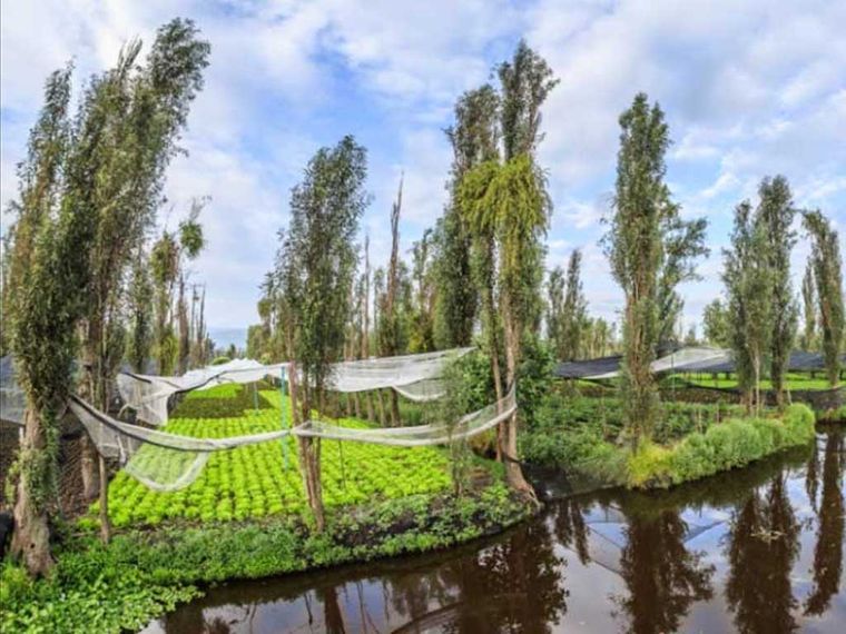 los jardines flotantes chinampa