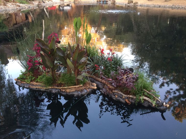 los jardines flotantes en lago