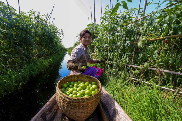los jardines flotantes frutas