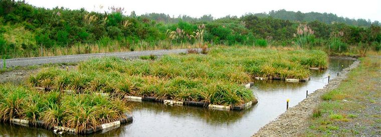 los jardines flotantes islas