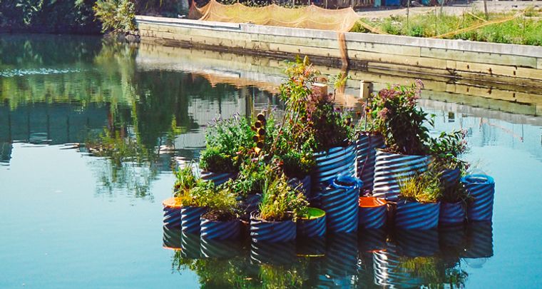 los jardines flotantes para purificar