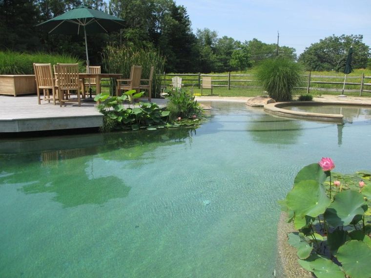 piscina natural agua clara