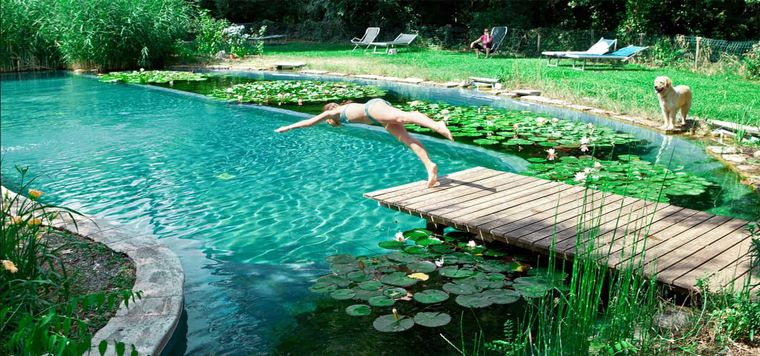 piscina natural bricolaje