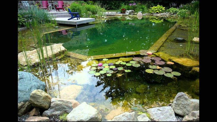 piscina natural habitat