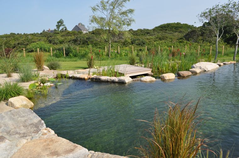 piscina natural ideas