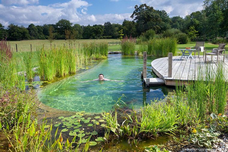 piscina natural madera