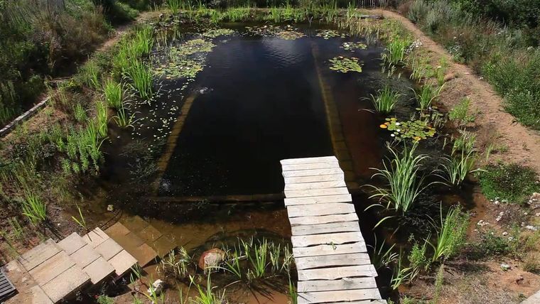 piscina natural oscura