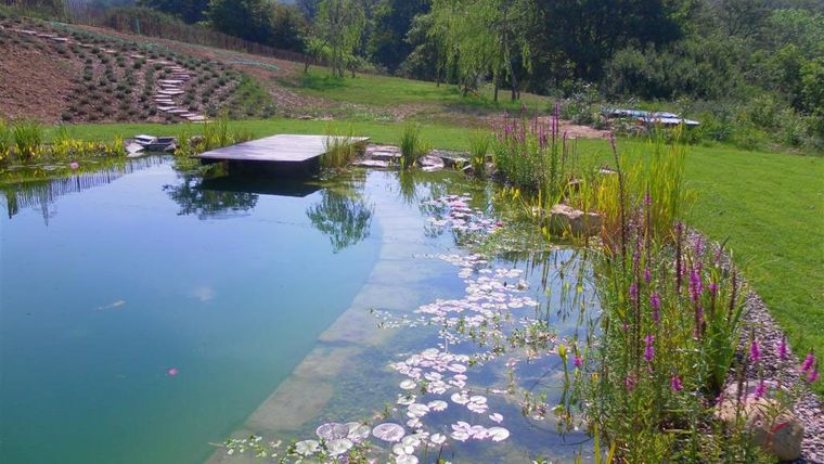 piscina natural para nadar