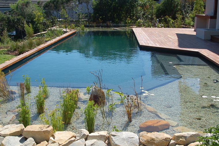 piscina natural plantas rocas