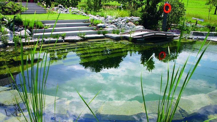 piscina natural saludable