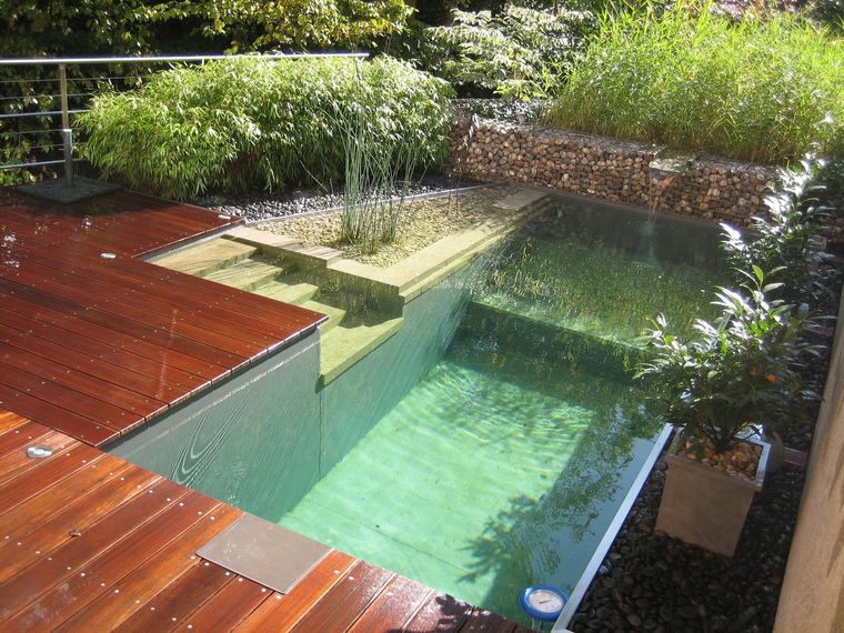 piscina natural sencilla