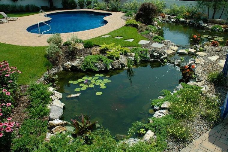 piscina natural tipos