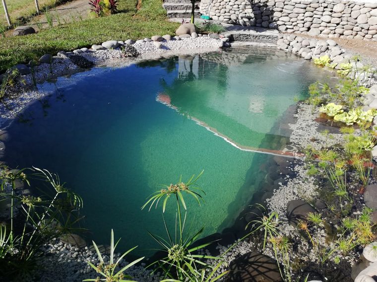 piscina natural vida