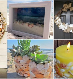 Conchas marinas – Hermosa inspiración para el diseño y la decoración del hogar