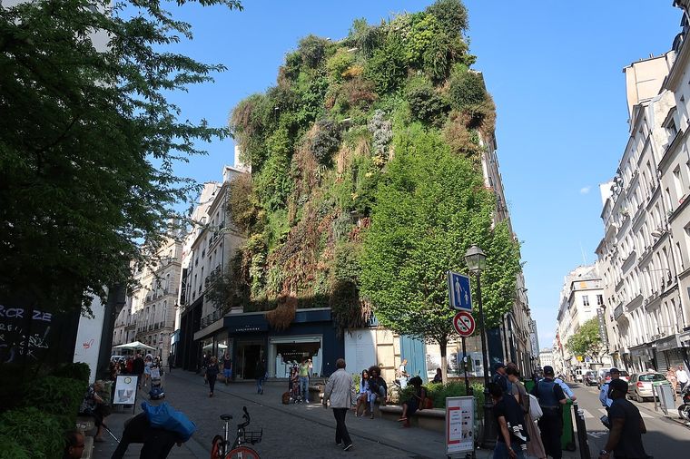 edificios ecológicos aboukir oasis