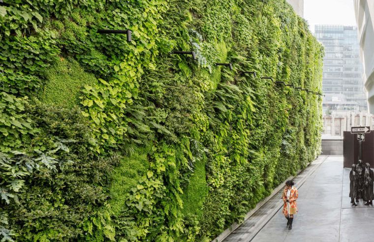 edificios ecológicos calidad ambiental