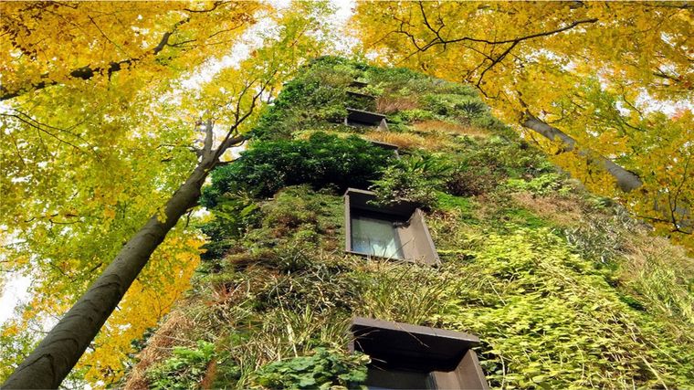 edificios ecológicos ideas