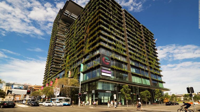edificios ecológicos mejora ambiental