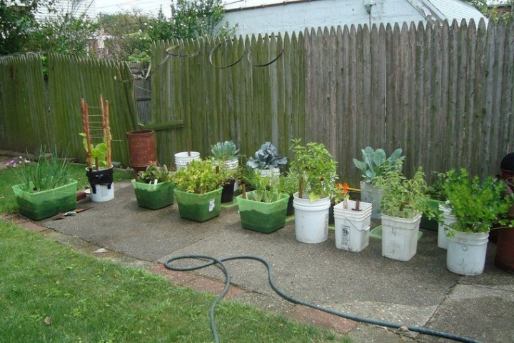 Huerto ecológico – ¿Cómo crear un pequeño huerto urbano?