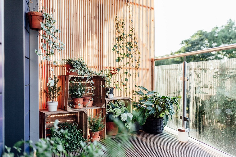 plantas-flores-balcon-opciones