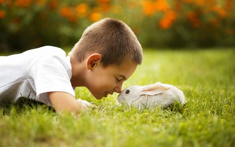 Niños y mascotas -chico-conejo