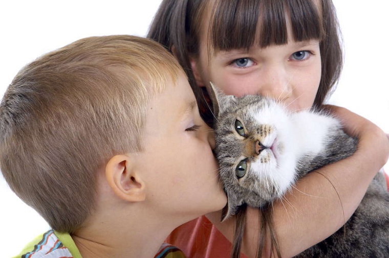 Niños y mascotas-gato-ideas
