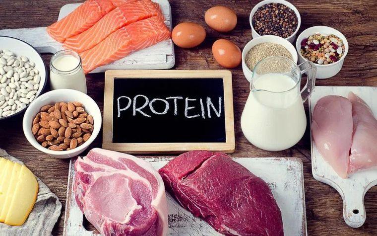 perdida-de-grasa-brazo-opciones-proteina