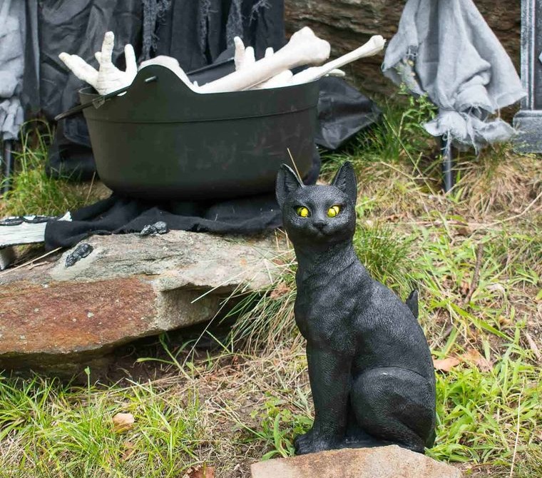 rojo y negro gato halloween