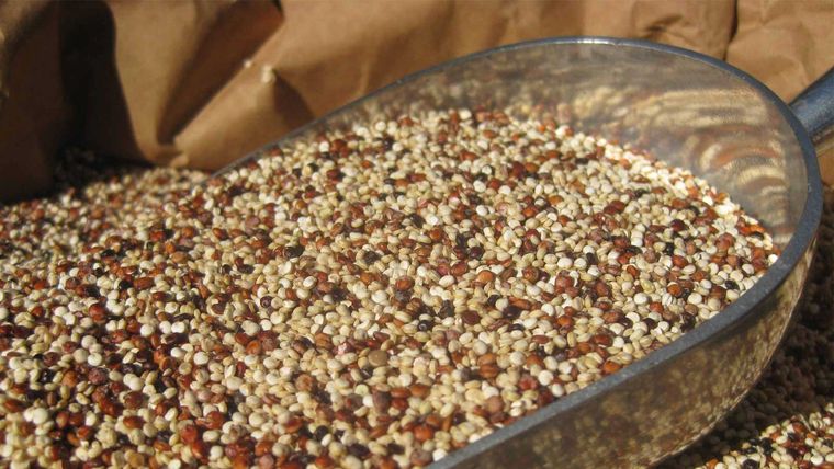 proteínas naturales amaranto quinoa