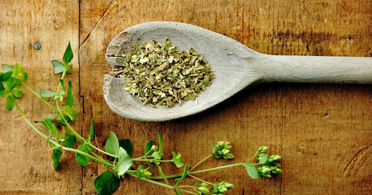 tipos de hierbas antivirales oregano
