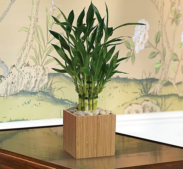 decoración con bambú en mesa auxiliar