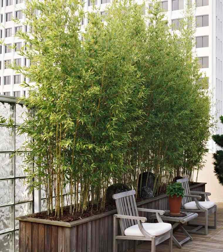 decoración con bambú exterior