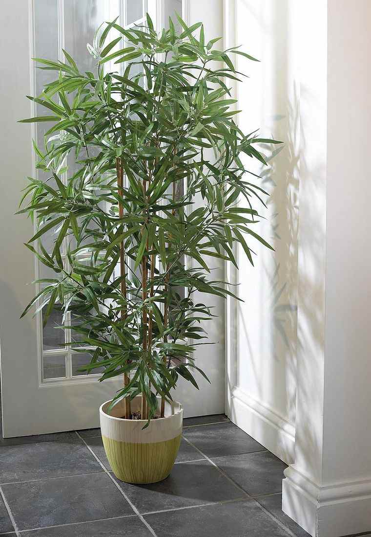 decoración con bambú planta maceta
