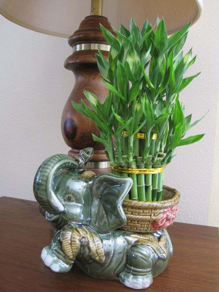 decoración con bambú simbologia