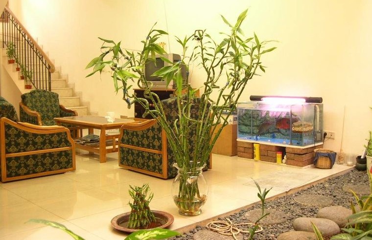 decoración con bambú tallos largos