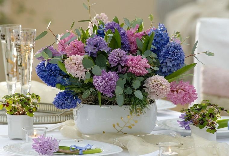 flores de jacinto para decorar
