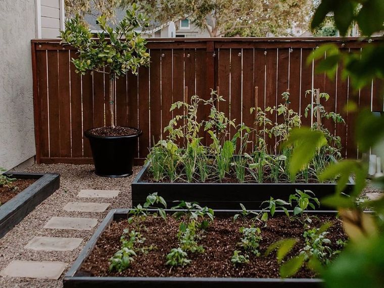 decoración de jardines para cultivo