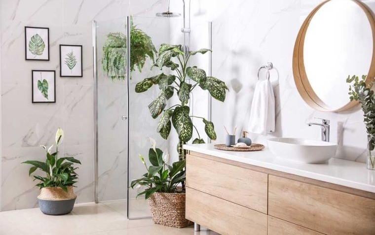 decoración natural plantas en baño