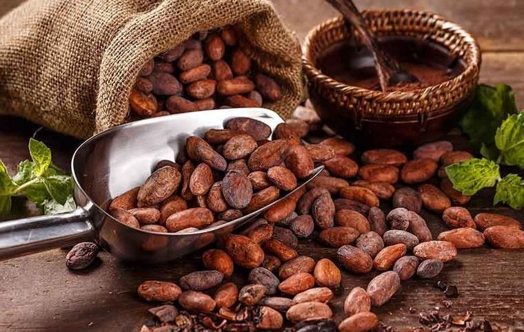 el chocolate granos de cacao